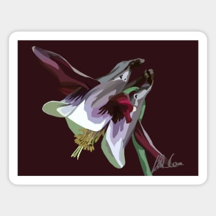 Aquilegia Magnet